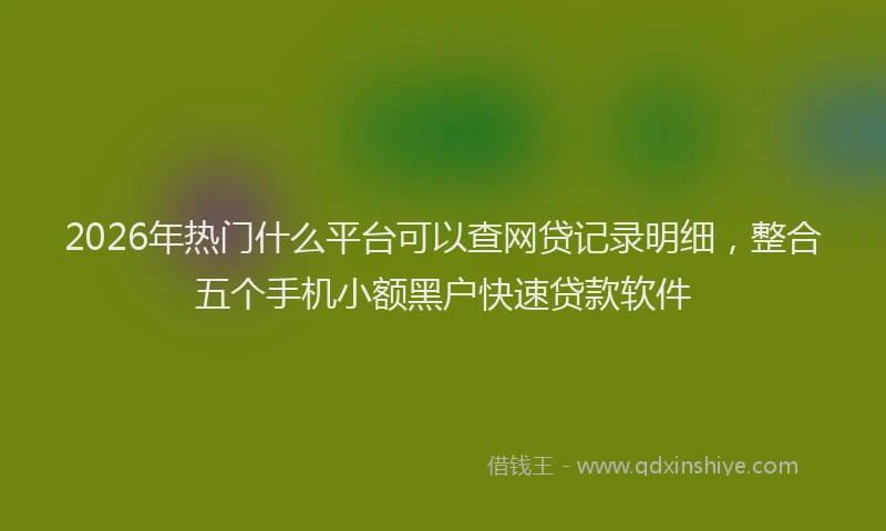 2026年热门什么平台可以查网贷记录明细，整合五个手机小额黑户快速贷款软件