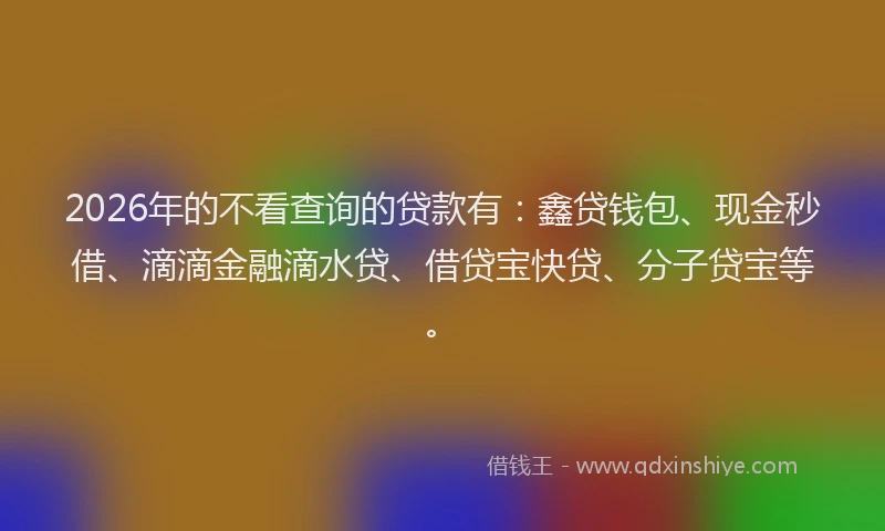 2026年的不看查询的贷款有：鑫贷钱包、现金秒借、滴滴金融滴水贷、借贷宝快贷、分子贷宝等。