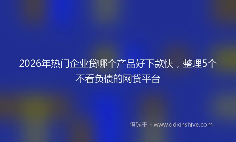 2026年热门企业贷哪个产品好下款快，整理5个不看负债的网贷平台