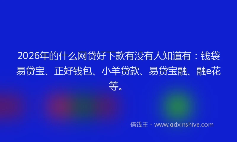 2026年的什么网贷好下款有没有人知道有：钱袋易贷宝、正好钱包、小羊贷款、易贷宝融、融e花等。