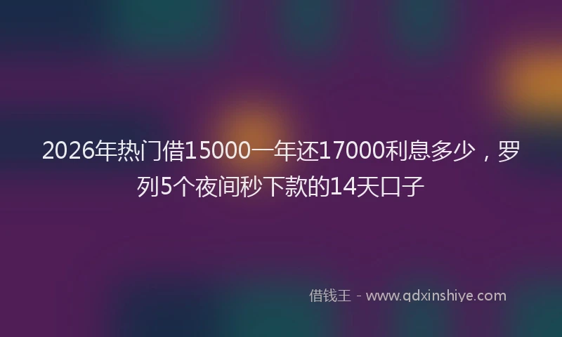 2026年热门借15000一年还17000利息多少，罗列5个夜间秒下款的14天口子