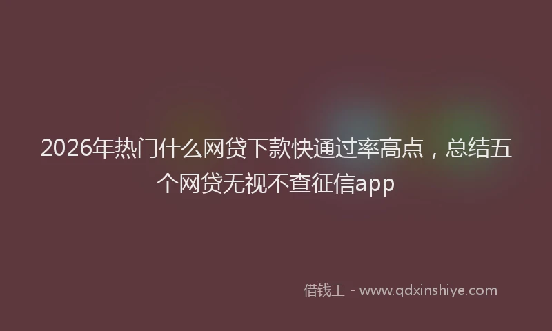 2026年热门什么网贷下款快通过率高点，总结五个网贷无视不查征信app