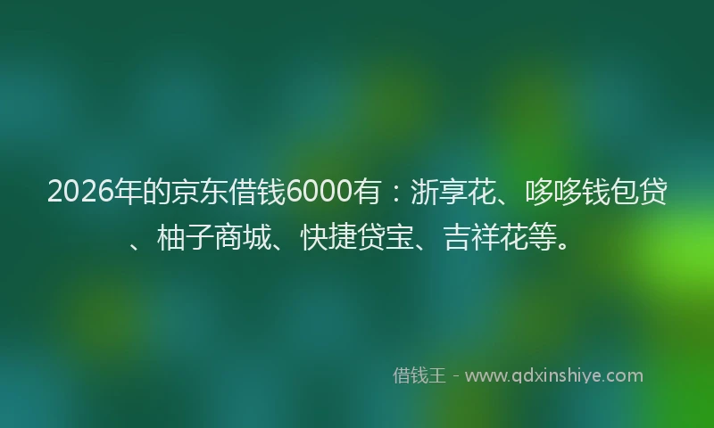 2026年的京东借钱6000有：浙享花、哆哆钱包贷、柚子商城、快捷贷宝、吉祥花等。