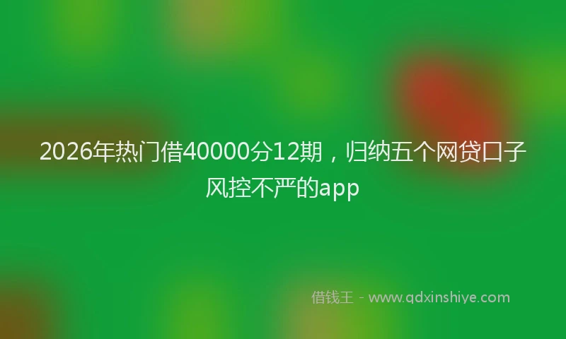 2026年热门借40000分12期，归纳五个网贷口子风控不严的app