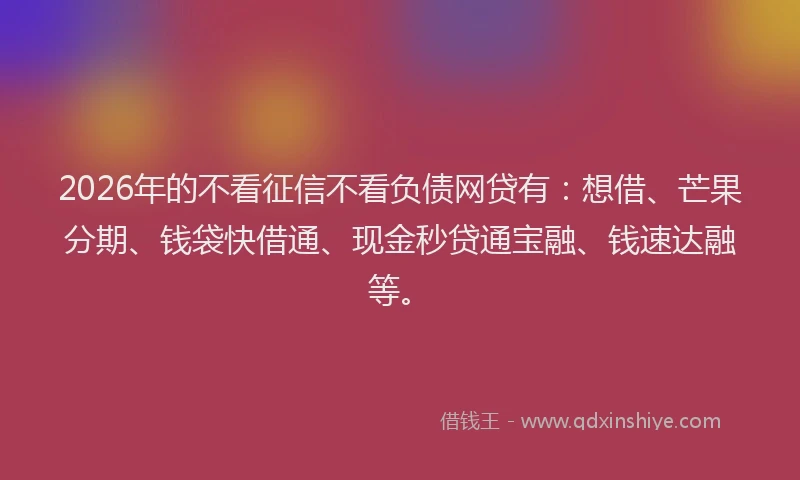 2026年的不看征信不看负债网贷有：想借、芒果分期、钱袋快借通、现金秒贷通宝融、钱速达融等。