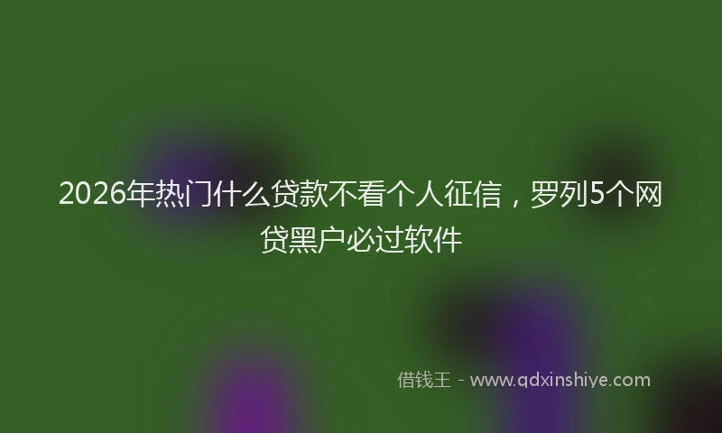 2026年热门什么贷款不看个人征信，罗列5个网贷黑户必过软件