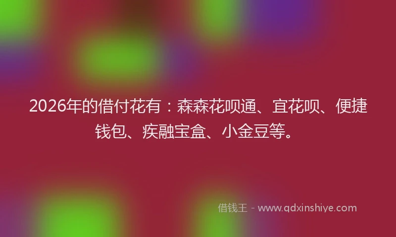 2026年的借付花有：森森花呗通、宜花呗、便捷钱包、疾融宝盒、小金豆等。