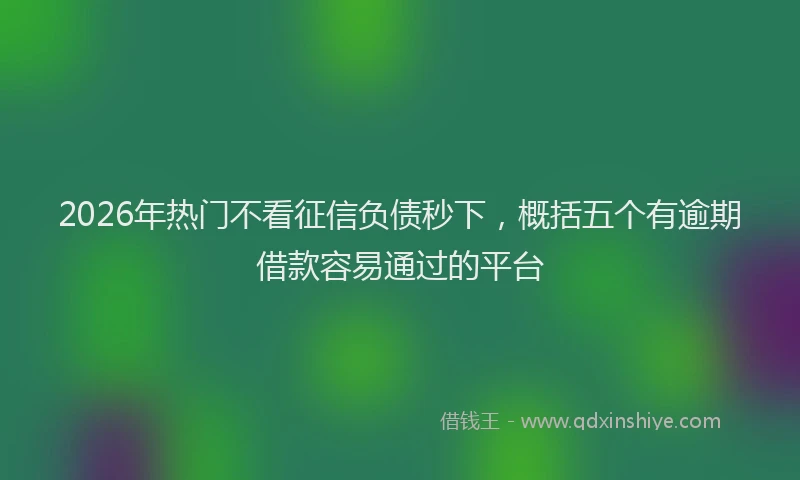 2026年热门不看征信负债秒下，概括五个有逾期借款容易通过的平台
