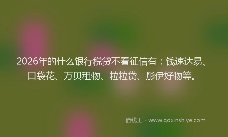 2026年的什么银行税贷不看征信有：钱速达易、口袋花、万贝租物、粒粒贷、彤伊好物等。