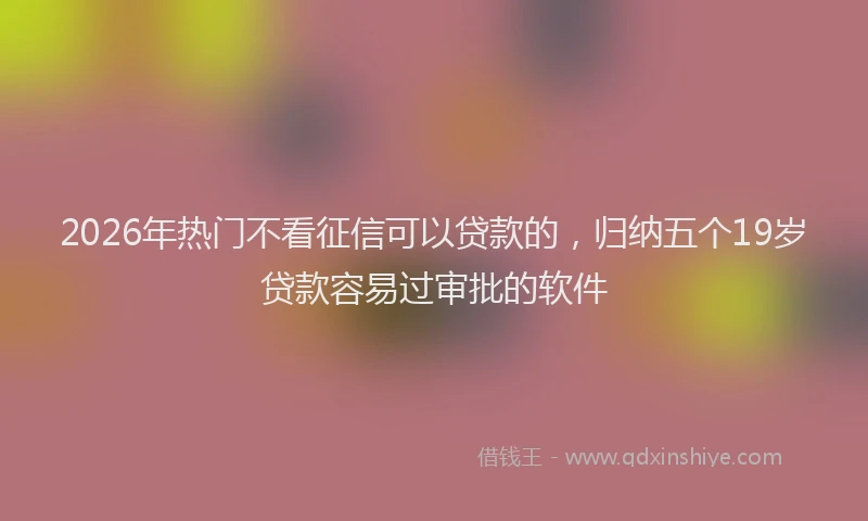 2026年热门不看征信可以贷款的，归纳五个19岁贷款容易过审批的软件
