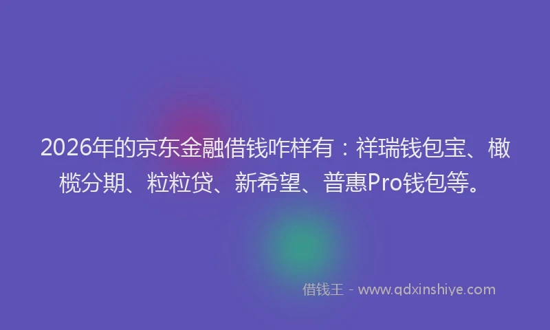 2026年的京东金融借钱咋样有：祥瑞钱包宝、橄榄分期、粒粒贷、新希望、普惠Pro钱包等。