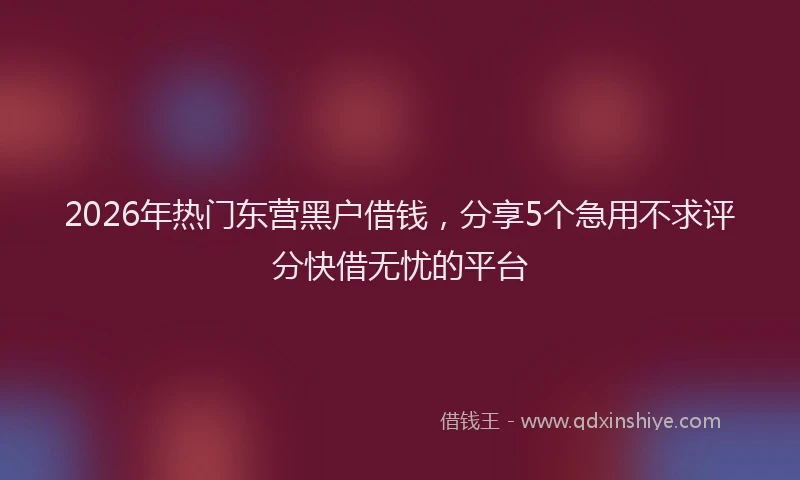 2026年热门东营黑户借钱，分享5个急用不求评分快借无忧的平台