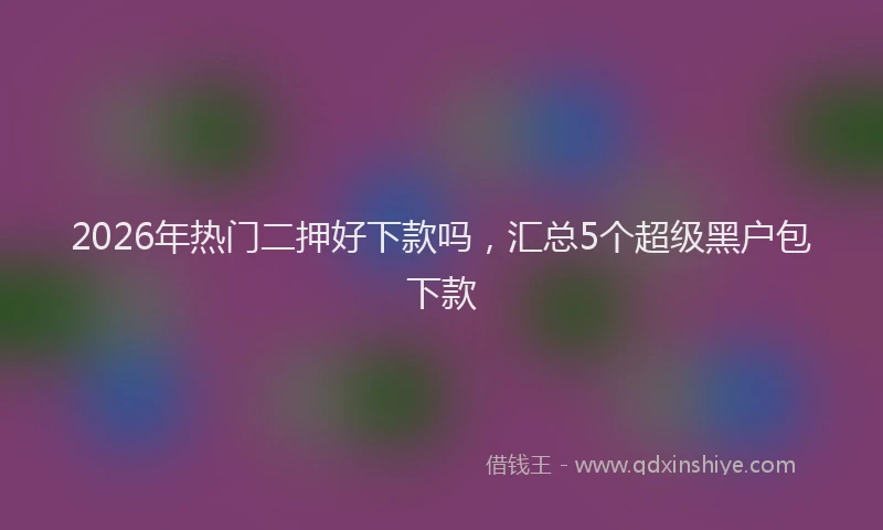 2026年热门二押好下款吗，汇总5个超级黑户包下款
