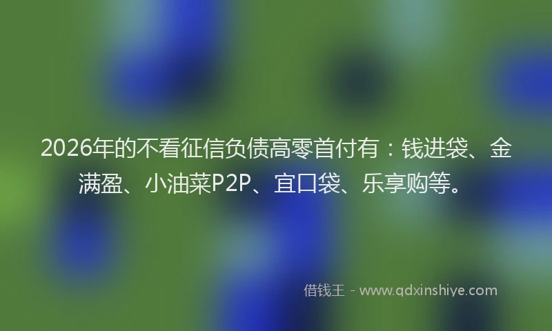 2026年的不看征信负债高零首付有：钱进袋、金满盈、小油菜P2P、宜口袋、乐享购等。