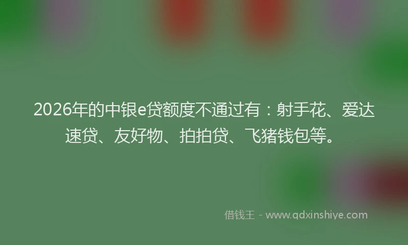 2026年的中银e贷额度不通过有：射手花、爱达速贷、友好物、拍拍贷、飞猪钱包等。