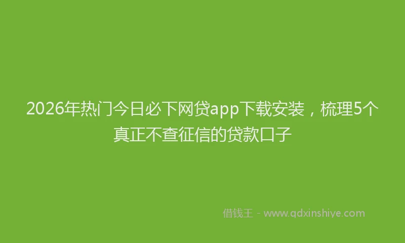 2026年热门今日必下网贷app下载安装，梳理5个真正不查征信的贷款口子