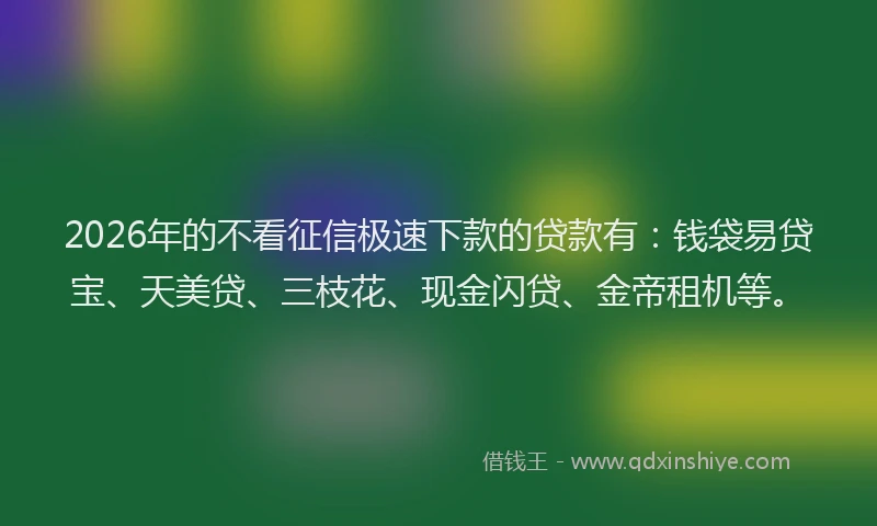 2026年的不看征信极速下款的贷款有：钱袋易贷宝、天美贷、三枝花、现金闪贷、金帝租机等。