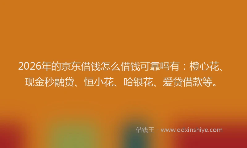2026年的京东借钱怎么借钱可靠吗有：橙心花、现金秒融贷、恒小花、哈银花、爱贷借款等。