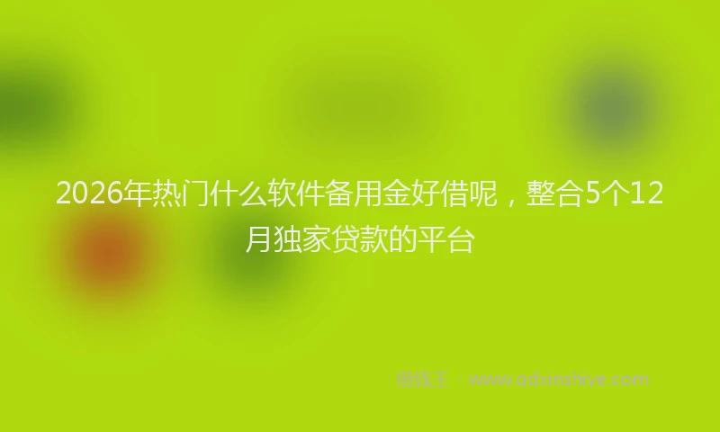 2026年热门什么软件备用金好借呢，整合5个12月独家贷款的平台