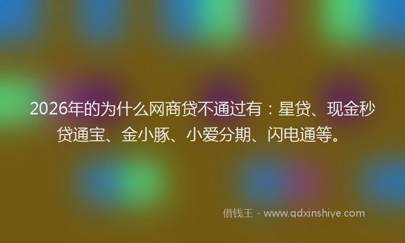 2026年的为什么网商贷不通过有：星贷、现金秒贷通宝、金小豚、小爱分期、闪电通等。
