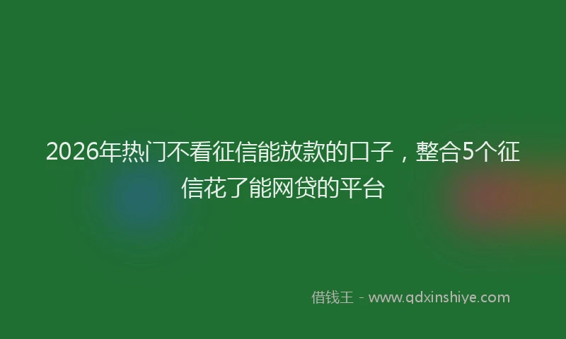 2026年热门不看征信能放款的口子，整合5个征信花了能网贷的平台