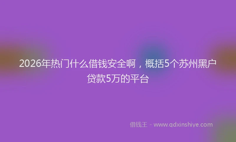 2026年热门什么借钱安全啊，概括5个苏州黑户贷款5万的平台