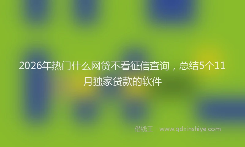 2026年热门什么网贷不看征信查询，总结5个11月独家贷款的软件