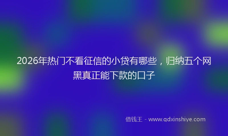 2026年热门不看征信的小贷有哪些，归纳五个网黑真正能下款的口子