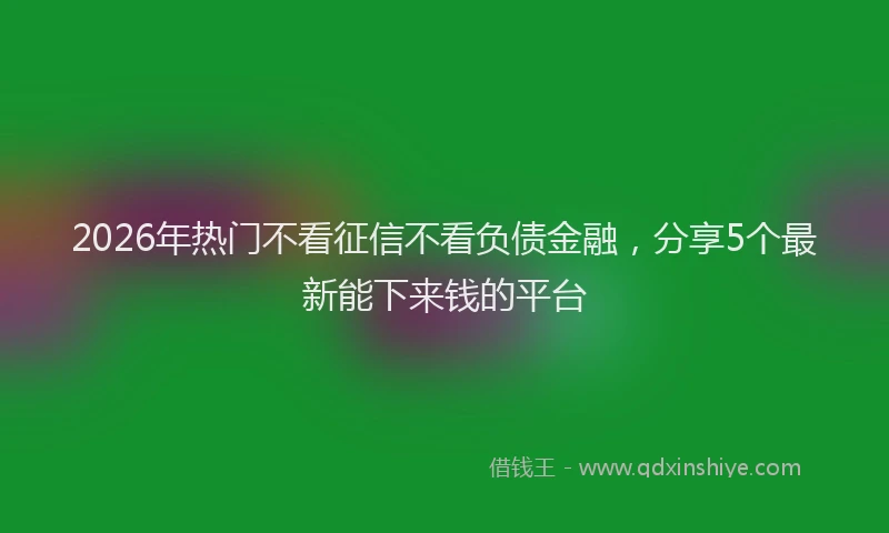 2026年热门不看征信不看负债金融，分享5个最新能下来钱的平台