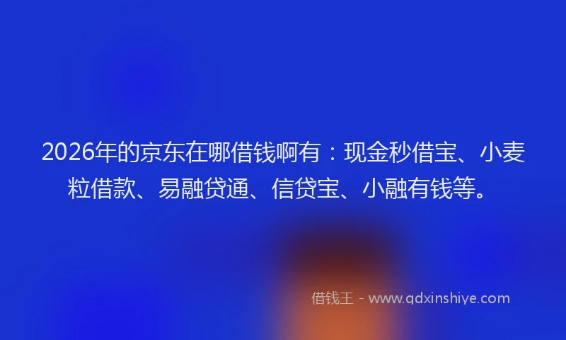 2026年的京东在哪借钱啊有：现金秒借宝、小麦粒借款、易融贷通、信贷宝、小融有钱等。
