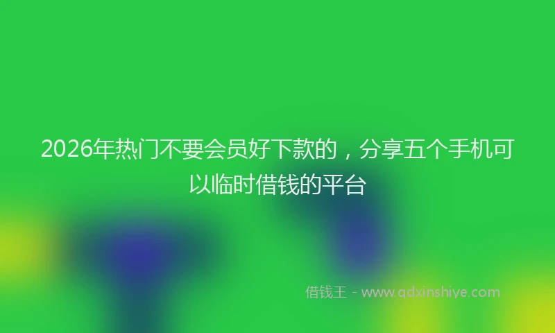 2026年热门不要会员好下款的，分享五个手机可以临时借钱的平台