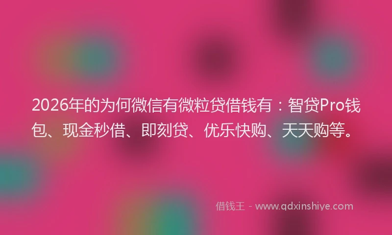 2026年的为何微信有微粒贷借钱有：智贷Pro钱包、现金秒借、即刻贷、优乐快购、天天购等。