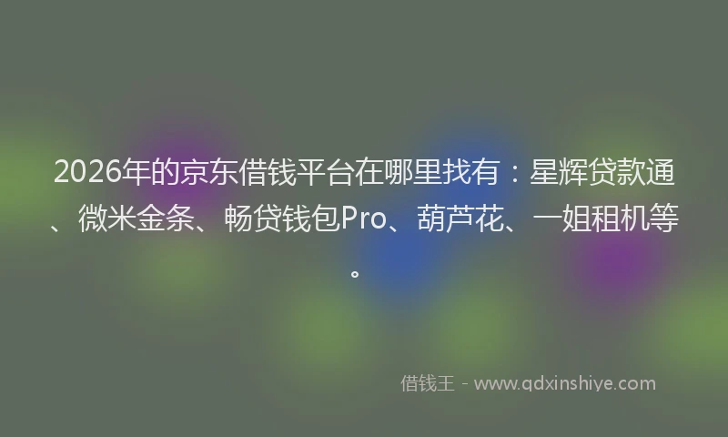 2026年的京东借钱平台在哪里找有：星辉贷款通、微米金条、畅贷钱包Pro、葫芦花、一姐租机等。