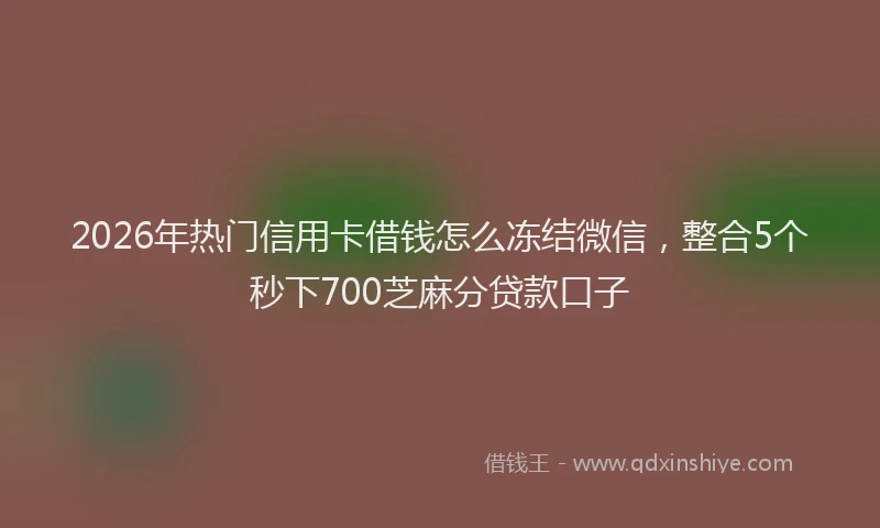 2026年热门信用卡借钱怎么冻结微信，整合5个秒下700芝麻分贷款口子