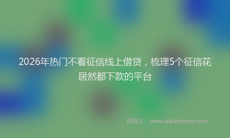 2026年热门不看征信线上借贷，梳理5个征信花居然都下款的平台