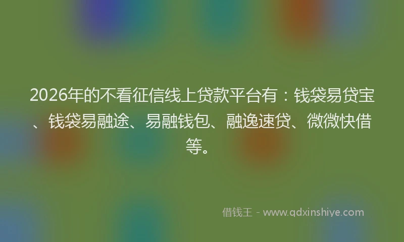 2026年的不看征信线上贷款平台有：钱袋易贷宝、钱袋易融途、易融钱包、融逸速贷、微微快借等。