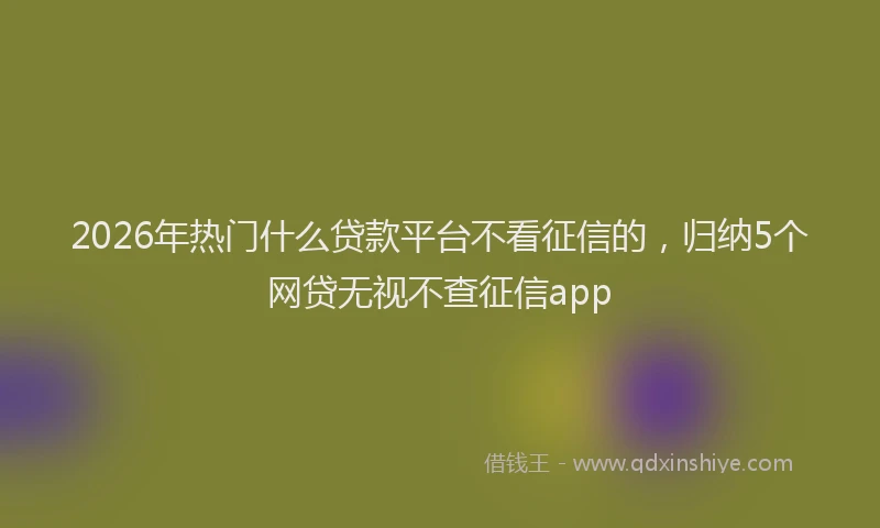 2026年热门什么贷款平台不看征信的，归纳5个网贷无视不查征信app
