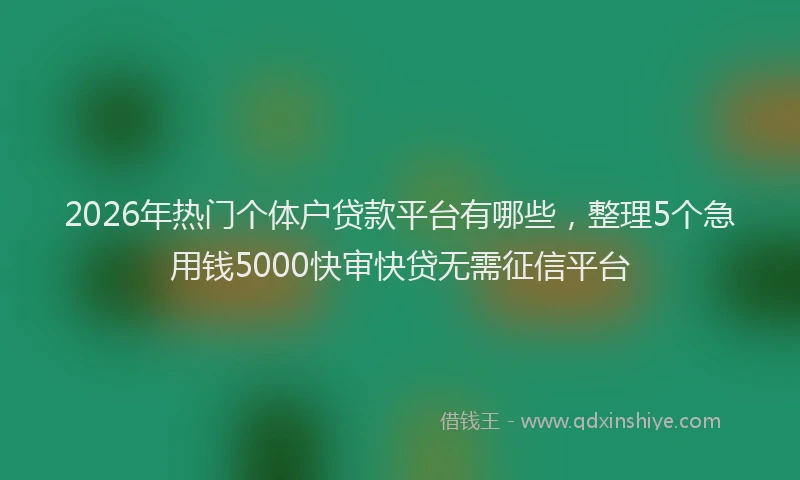2026年热门个体户贷款平台有哪些，整理5个急用钱5000快审快贷无需征信平台