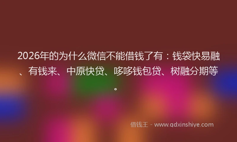 2026年的为什么微信不能借钱了有：钱袋快易融、有钱来、中原快贷、哆哆钱包贷、树融分期等。