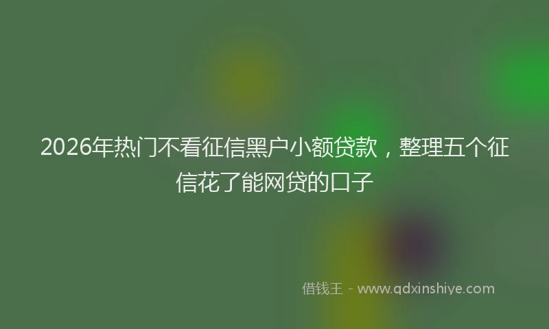 2026年热门不看征信黑户小额贷款，整理五个征信花了能网贷的口子