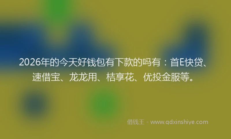 2026年的今天好钱包有下款的吗有：首E快贷、速借宝、龙龙用、桔享花、优投金服等。