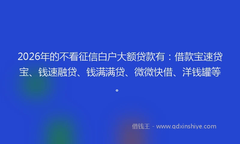 2026年的不看征信白户大额贷款有：借款宝速贷宝、钱速融贷、钱满满贷、微微快借、洋钱罐等。