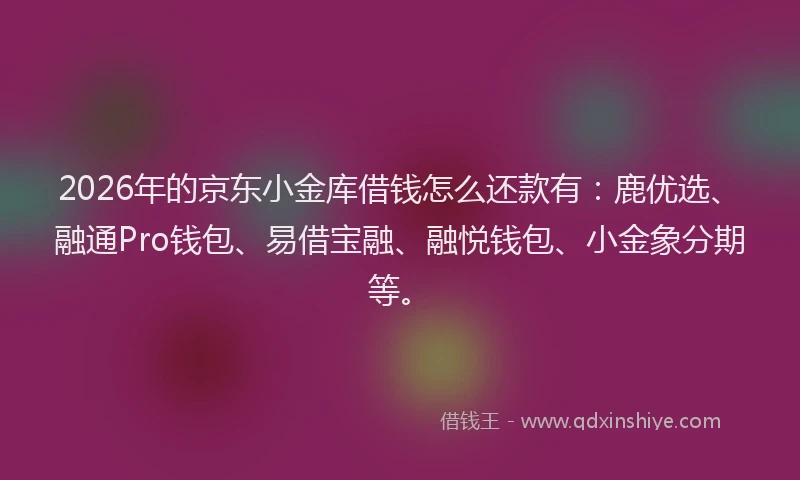 2026年的京东小金库借钱怎么还款有：鹿优选、融通Pro钱包、易借宝融、融悦钱包、小金象分期等。