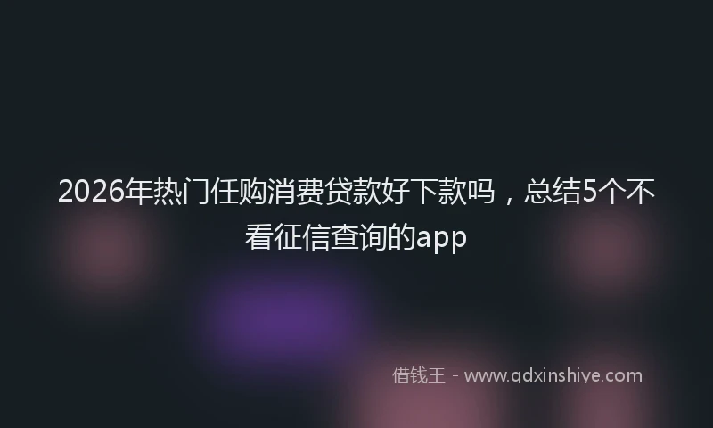 2026年热门任购消费贷款好下款吗，总结5个不看征信查询的app