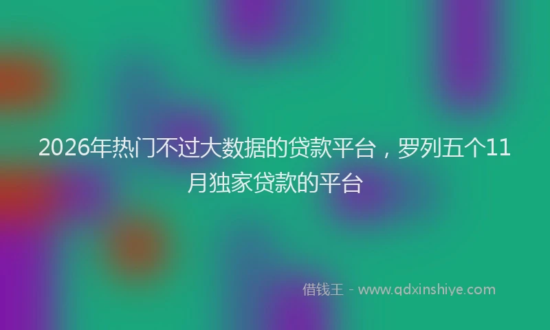 2026年热门不过大数据的贷款平台，罗列五个11月独家贷款的平台