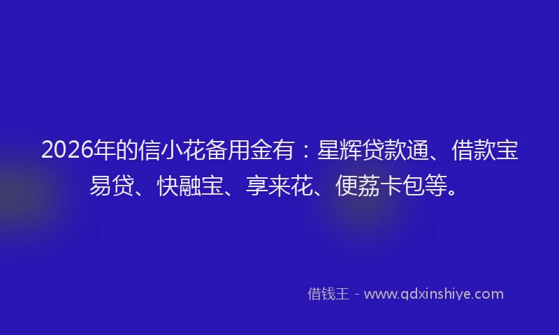 2026年的信小花备用金有：星辉贷款通、借款宝易贷、快融宝、享来花、便荔卡包等。