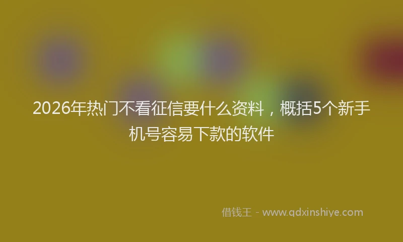 2026年热门不看征信要什么资料，概括5个新手机号容易下款的软件