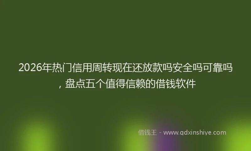 2026年热门信用周转现在还放款吗安全吗可靠吗，盘点五个值得信赖的借钱软件