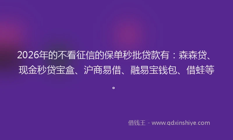 2026年的不看征信的保单秒批贷款有：森森贷、现金秒贷宝盒、沪商易借、融易宝钱包、借蛙等。
