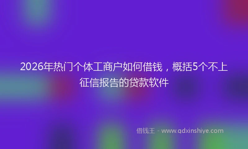 2026年热门个体工商户如何借钱，概括5个不上征信报告的贷款软件